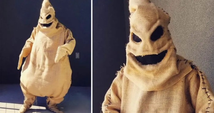 Diy oogie boogie costume