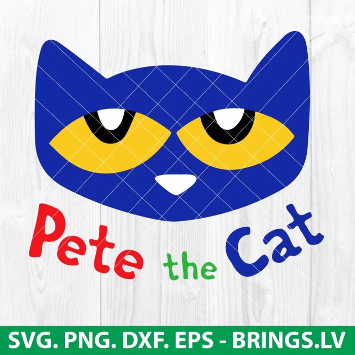 Pete the cat costume diy